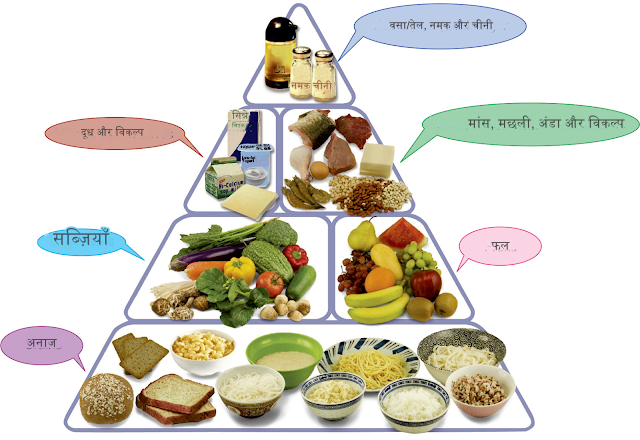 Complete meals and balanced diet pyramid