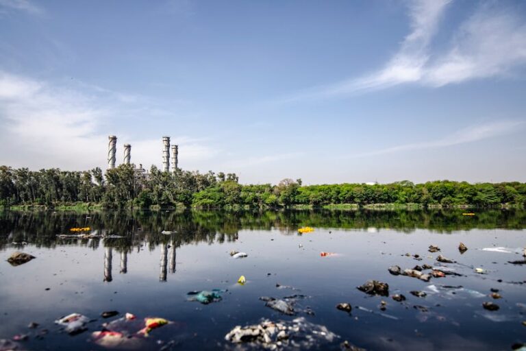 Garbage on Body of Water and Severe Effects of Air Pollution in India