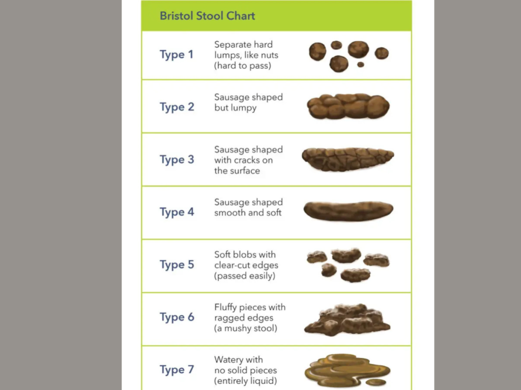 bristol stool chart to understand a constipation meaning in hindi
