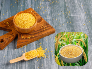 Foxtail Millet