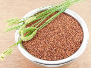 finger millet