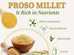 proso millet